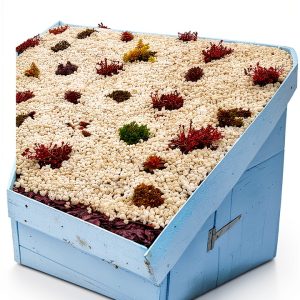 Kindle Garden Furnishings Guide by Amazon-0
