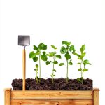 Garden Furnishings Essentials: A Comprehensive Guide for Beginners-0