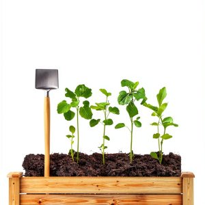 Garden Furnishings Essentials: A Comprehensive Guide for Beginners-0