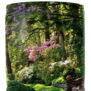 Garden Furnishings Book by Archway Publishing Kindle Edition-0