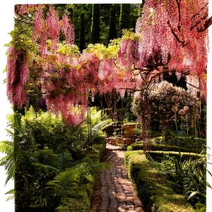 Garden Furnishings Kindle Book Hearst Home Garden Design Guide 225-0