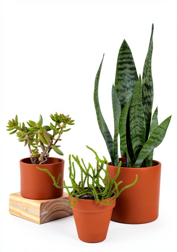 Urban Farming Blueprint Kindle eBook Guide to Small Space Gardening-0